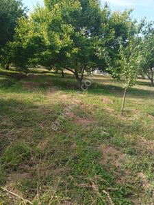 Arsa-Tarla