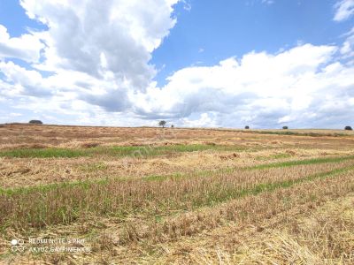 Arsa-Tarla