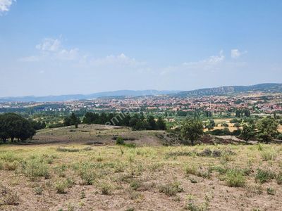 Arsa-Tarla