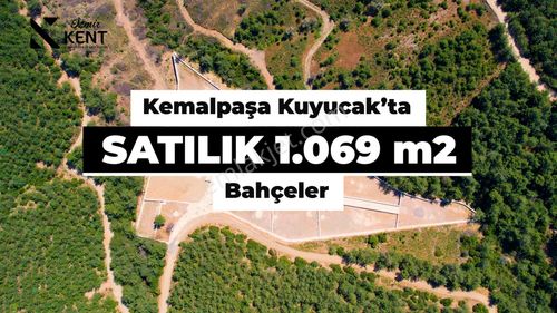 Arsa-Bağ & Bahçe
