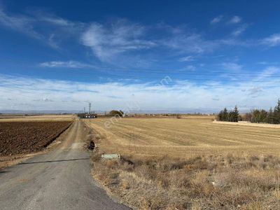 Arsa-Tarla