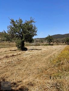 Arsa-Tarla