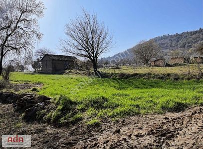 Arsa-Konut İmarlı