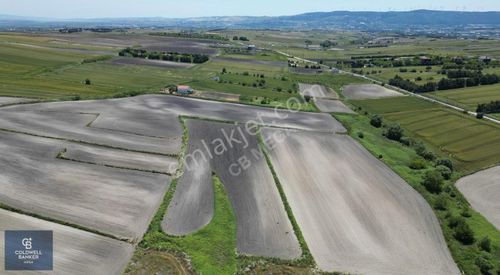 Arsa-Tarla