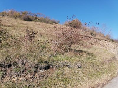 Arsa-Tarla