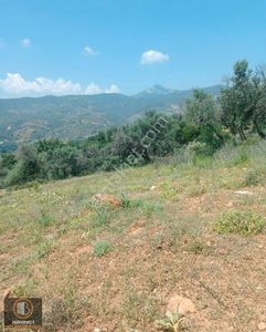 Arsa-Bağ & Bahçe