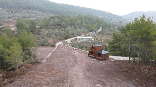 Arsa-Tarla