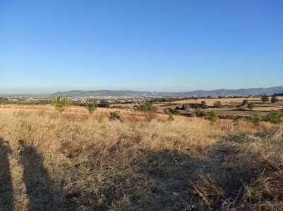 Arsa-Tarla