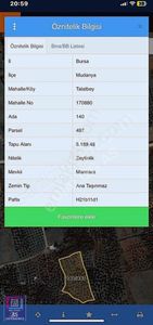 Arsa-Zeytinlik