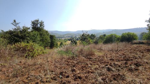 Arsa-Tarla