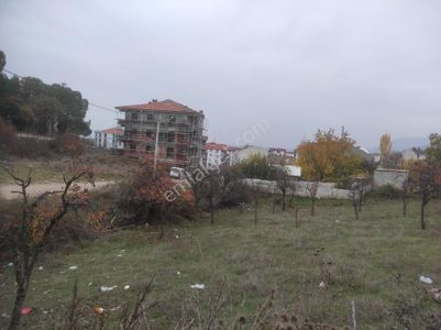 Arsa-Konut İmarlı