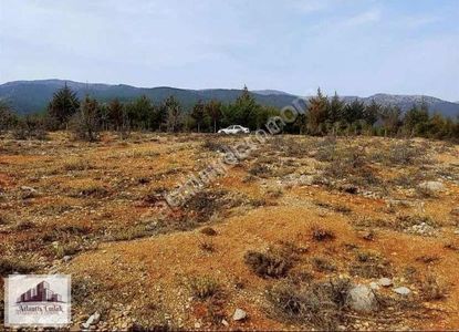 Arsa-Konut İmarlı