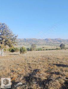 Arsa-Tarla