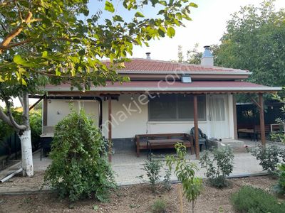 Arsa-Bağ & Bahçe