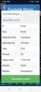 Arsa-Zeytinlik
