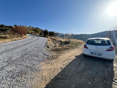 Arsa-Tarla
