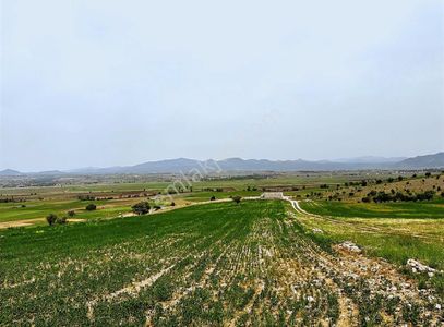 Arsa-Tarla