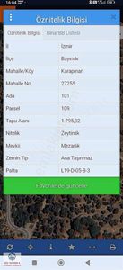 Arsa-Zeytinlik