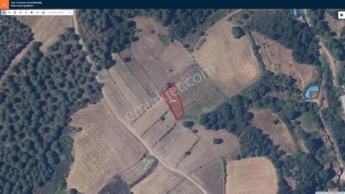 Arsa-Tarla