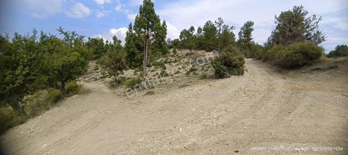 Arsa-Tarla