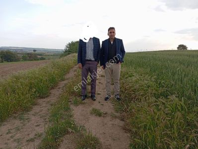 Arsa-Tarla