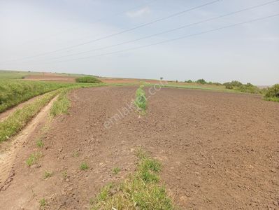 Arsa-Tarla
