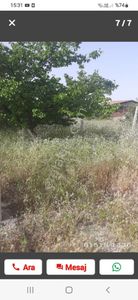 Arsa-Bağ & Bahçe