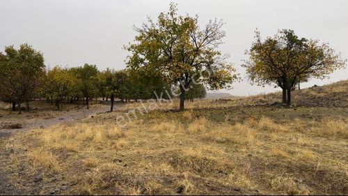 Çakırdan Yatırımlık Fırsat Arsalar