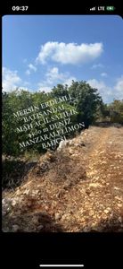 Arsa-Bağ & Bahçe