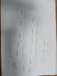 Arsa-Zeytinlik