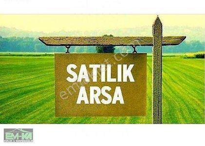 Arsa-Tarla