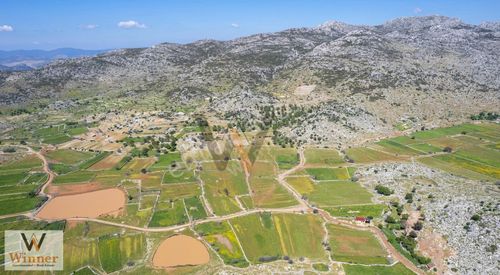 Arsa-Tarla