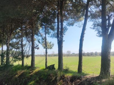 Arsa-Tarla