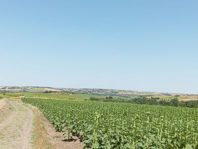 Arsa-Tarla