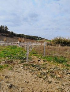 Arsa-Villa İmarlı