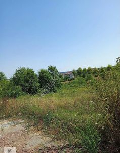 Arsa-Konut İmarlı