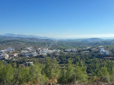 Arsa-Tarla