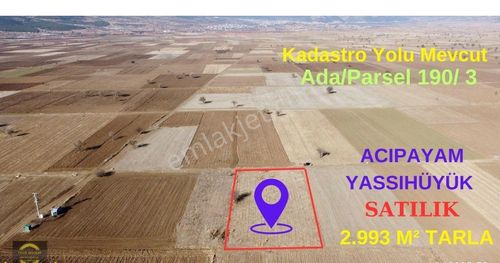 Arsa-Bağ & Bahçe