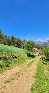 Arsa-Tarla