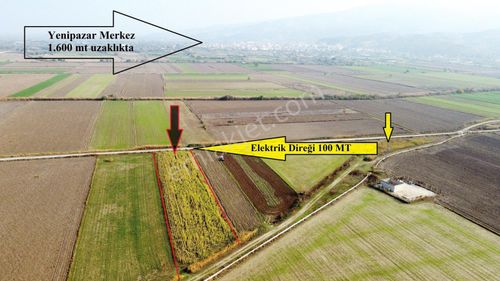 Arsa-Tarla