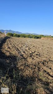 Arsa-Tarla