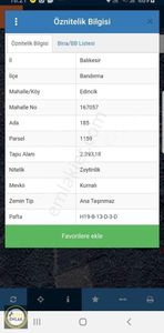 Arsa-Zeytinlik
