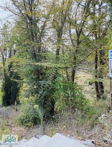 Arsa-Villa İmarlı