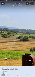 Arsa-Tarla