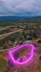 Arsa-Tarla