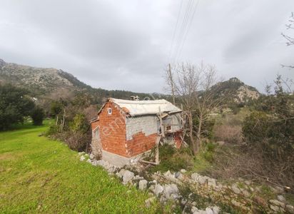 Arsa-Bağ & Bahçe