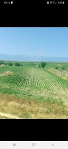 Arsa-Tarla