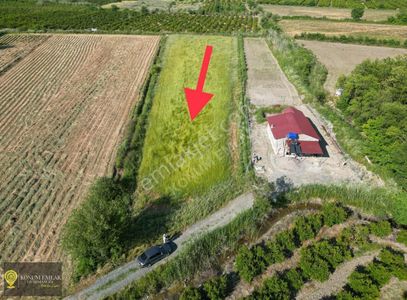 Arsa-Tarla