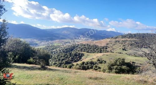 Arsa-Tarla