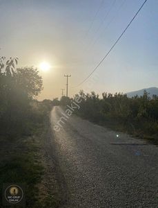 Arsa-Bağ & Bahçe